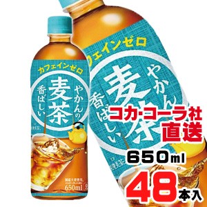 やかんの麦茶 from 一(はじめ) PET 650mlx48本（24本x2ケース）