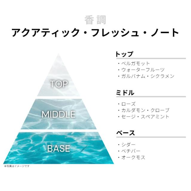 ジバンシイ 香水 男性用 ウルトラマリン EDT・SP 100ml INSENSE