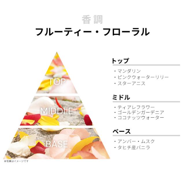 ケイト スペード ニューヨーク 香水 女性用 リブ カラフリー EDP・SP