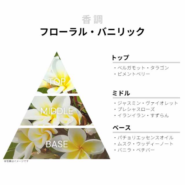 アリサアシュレイ 香水】アリサアシュレイ ホワイトムスク (テスター) EDT・SP 50ml ALYSSA ASHLEY 送料無料 香水  の通販はau PAY マーケット - BeautyFive | au PAY マーケット－通販サイト