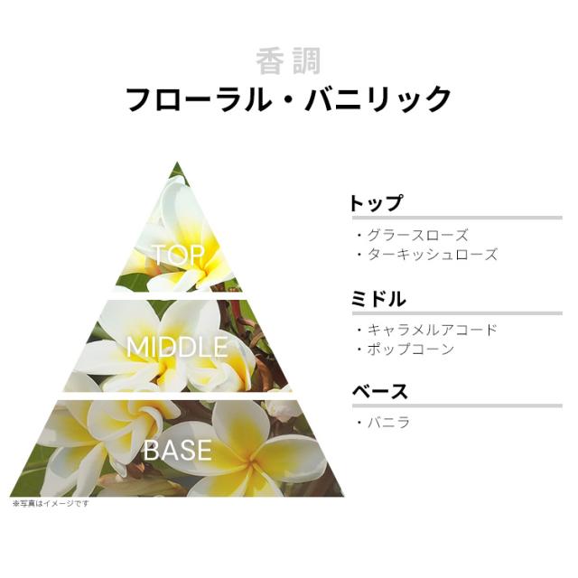 ランコム グルマン 香水 女性用 イドル ネクター EDP・SP 100ml 送料
