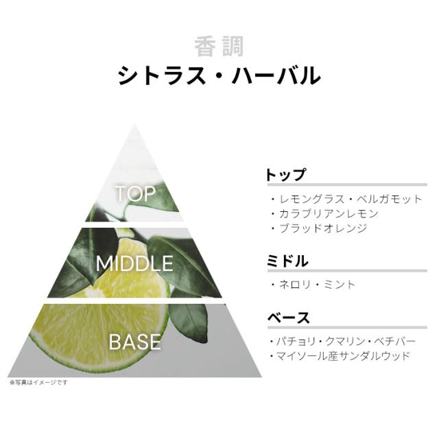 セルヨッフ 香水 男性用 カサモラティ 1888 フィエロ EDP・SP 30ml 送料無料 CASAMORATI 1888 FIERO XERJOFF セルヨッフ 香水 男性用 カサモラティ 1888 フィエロ EDP・SP 30ml