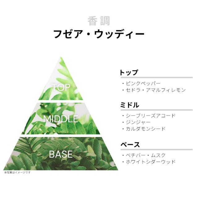 香水 男性用 エフ バイ フェラガモ プールオム フリータイム EDT・SP