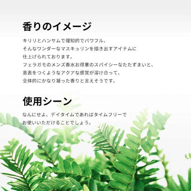 香水 男性用 エフ バイ フェラガモ プールオム フリータイム EDT・SP