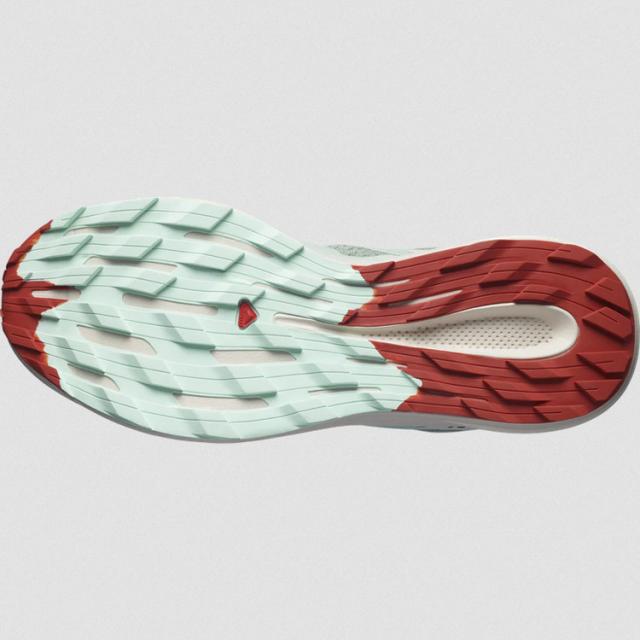 サロモン パルサー トレイル 26.0cm リリーパッド×アクア #L47210300 送料無料 PULSAR TRAIL LILY PAD/BLEACHED AQUA/HOT SAUCE