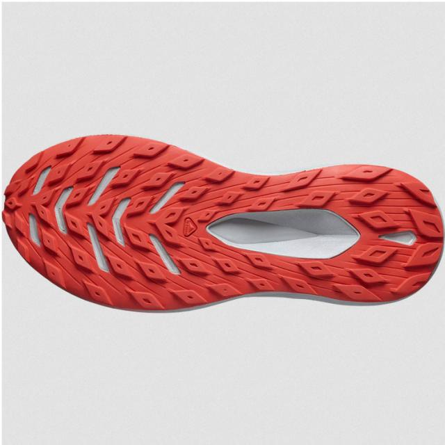 サロモン グライド マックス TR RUN THE ALPS 26.0cm サーフ・ザ・ウェブ #L47385600 送料無料 SALOMON