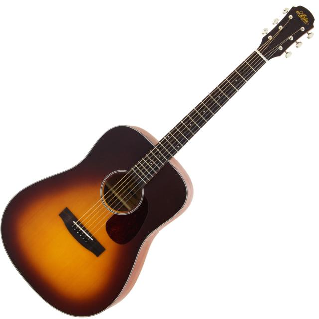 ARIA Aria-111 Dreadnought MTTS アコースティックギター 【公式通販】