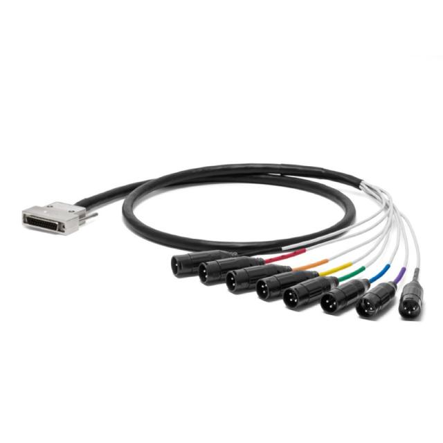 バーンナップエクセス 全6巻 レンタル落ちDVD 今井由香 岡本麻弥