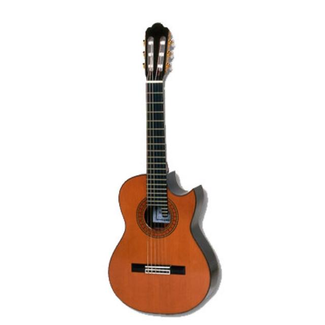 ASTURIAS ALT CUTAWAY クラシックギターの通販は