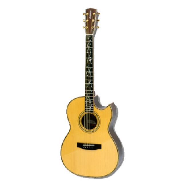 ASTURIAS TREE OF LIFE アコースティックギターの通販は