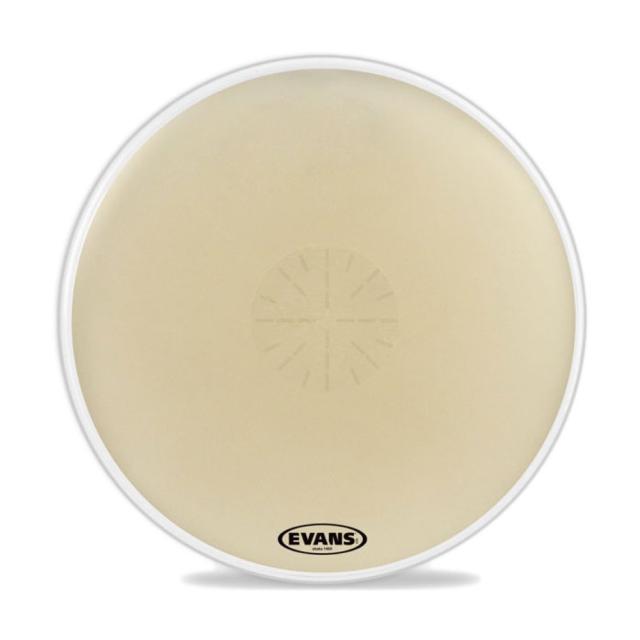 EVANS CB3614SD 36” Strata 1400 With Power Center Concert Bass Head コンサートバスヘッド