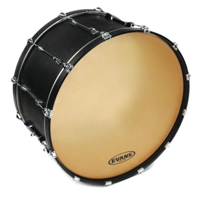 EVANS CB3210S 32” Strata 1000 Concert Bass Head コンサートバスヘッド_1