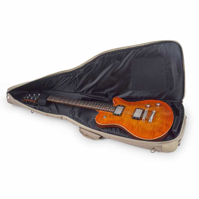 Warwick guitar online case