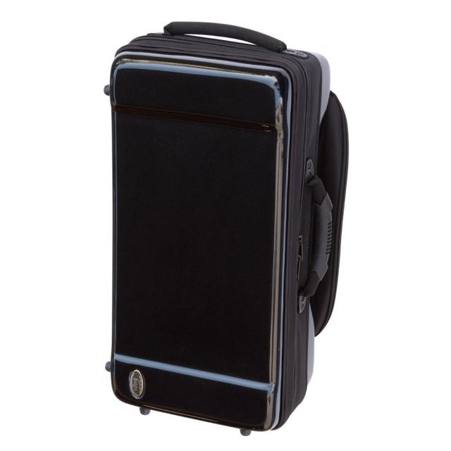 L.L.Bean トートバッグ bags EC2TRM M-BLK トランペット2本用ファイバーケース