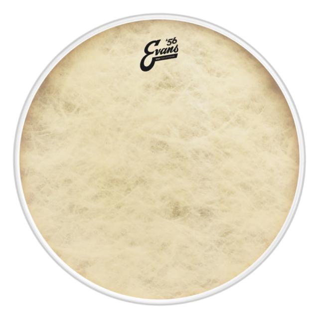 EVANS BD20GB4CT ’56 - EQ4 Calftone Bass バスドラムヘッド