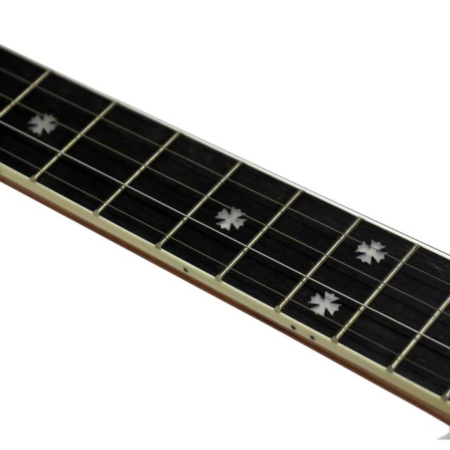 Blanton BB-15R 5-strings Resonator Banjo バンジョーの通販は