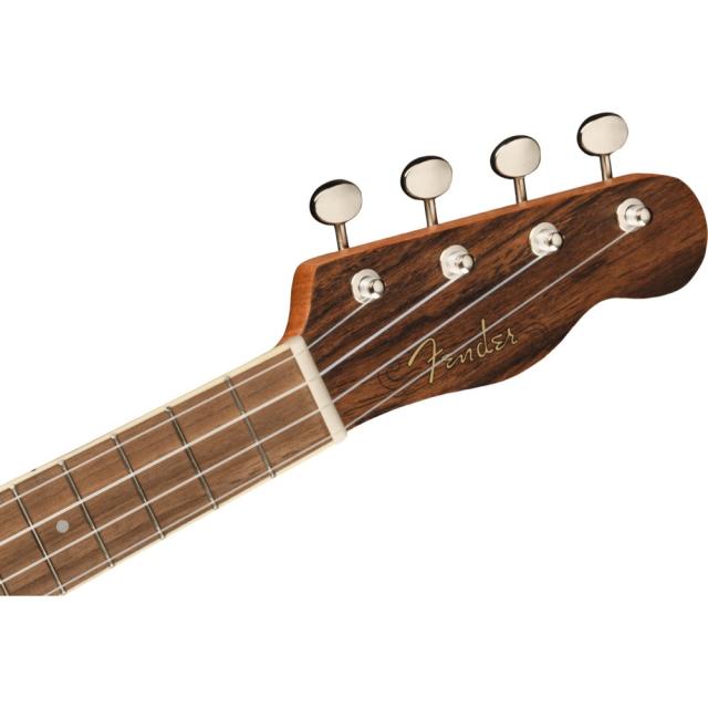 フェンダー Fender Zuma Exotic Concert Ukulele BOCOTE WN コンサートウクレレ_5