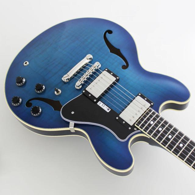 FUJIGEN MSA-HP/BBT Masterfield MSA セミアコギター_1