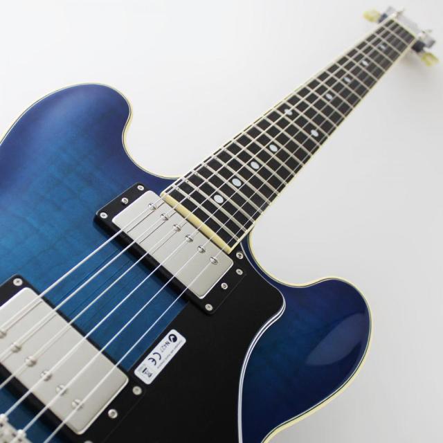 FUJIGEN MSA-HP/BBT Masterfield MSA セミアコギター_5