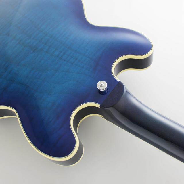 FUJIGEN MSA-HP/BBT Masterfield MSA セミアコギター_6