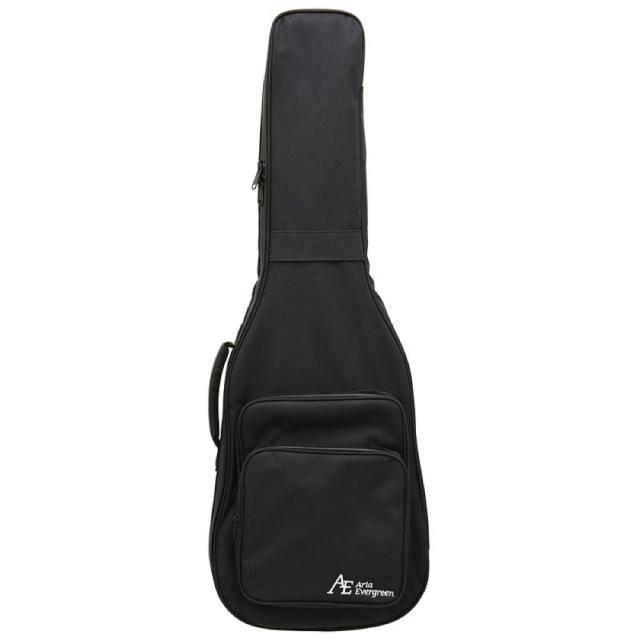 AriaProII PE-AE200 YG Aria Evergreen エレキギター_5