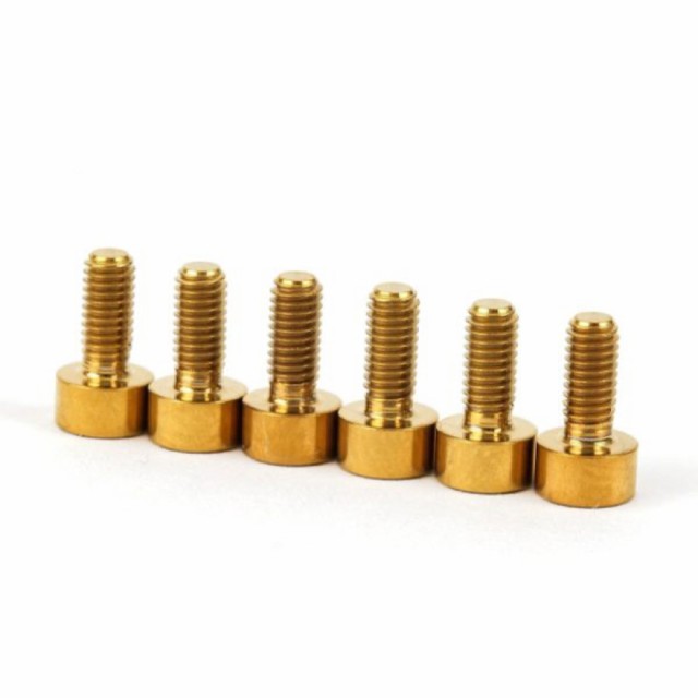 FU-Tone Titanium Saddle Mounting Screw Set GOLD フロイドローズ用 サドルマウントスクリュー 6個セット