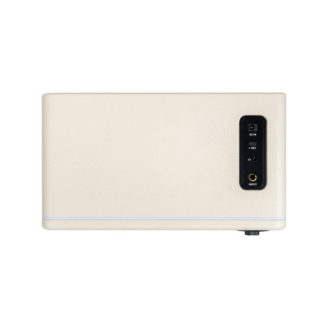 Mooer ムーアー Hornet 15i White ギターアンプ デジタルモデリングアンプ_2