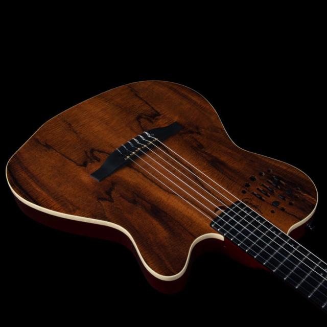 Godin ゴダン ACS Nylon KOA Extreme HG ナイロン弦 エレガット