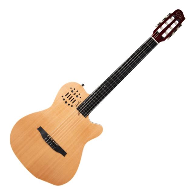 Godin ゴダン ACS Nylon Natural SG ナイロン弦 エレガットギターの