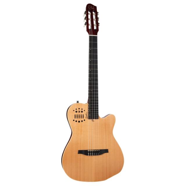 ゴダン　godin ACS SA エレアコ　ナイロン弦 Godin ゴダン ACS Nylon Natural SG ナイロン弦 エレガットギターの