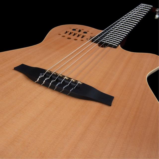 ゴダン　godin ACS SA エレアコ　ナイロン弦 Godin ゴダン ACS Nylon Natural SG ナイロン弦 エレガットギターの