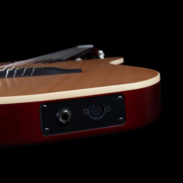 Godin ゴダン ACS Nylon Natural SG ナイロン弦 エレガットギターの