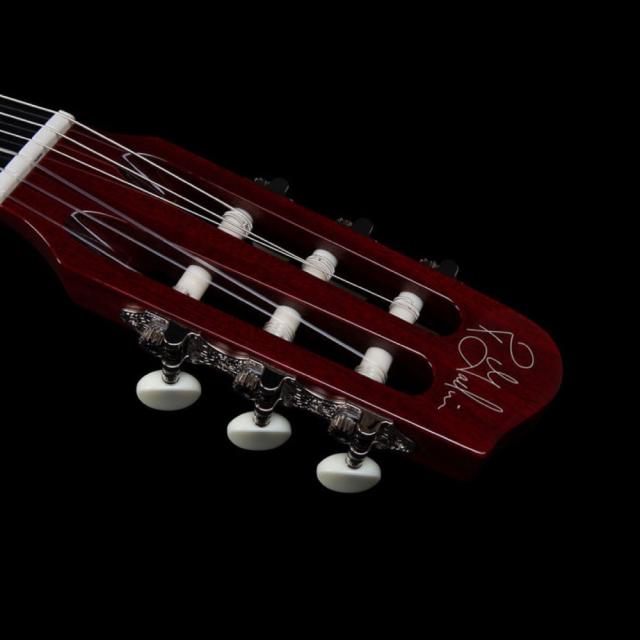 Godin ゴダン ACS Nylon Natural SG ナイロン弦 エレガットギターの