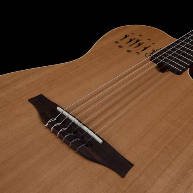 Godin ゴダン Multiac Nylon Encore Natural SG ナイロン弦 エレガットギターの通販はau PAY マーケット -  chuya-online | au PAY マーケット－通販サイト