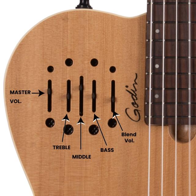 【値下げ】Godin Multiac Nylon SA ゴダン エレガッドギター Amazon | GODIN (ゴダン) ナイロンギター エレガットギター