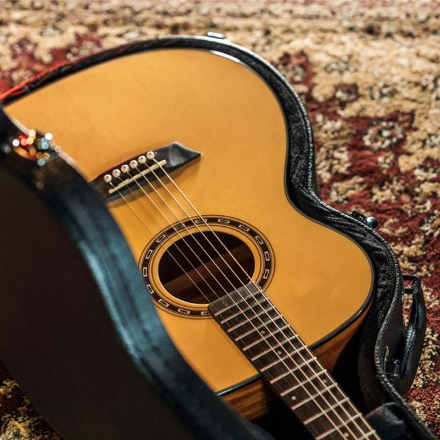 Washburn ワッシュバーン F5 アコースティックギター_3