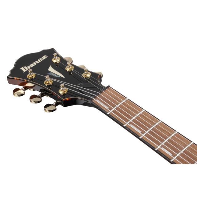 Ibanez アイバニーズ AFC71-VLS Artcore Contemporary Archtop フルアコギター_7