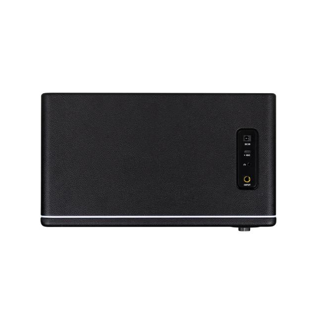 Mooer ムーアー Hornet 30i Black ギターアンプ デジタルモデリングアンプ_2