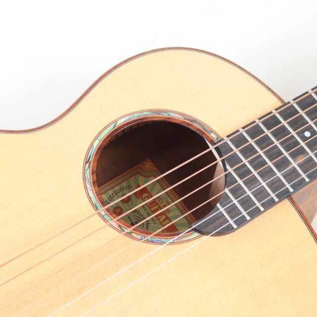 aNueNue BIRDGUITAR aNN-M52 Acoustic Guitar アコースティックギター