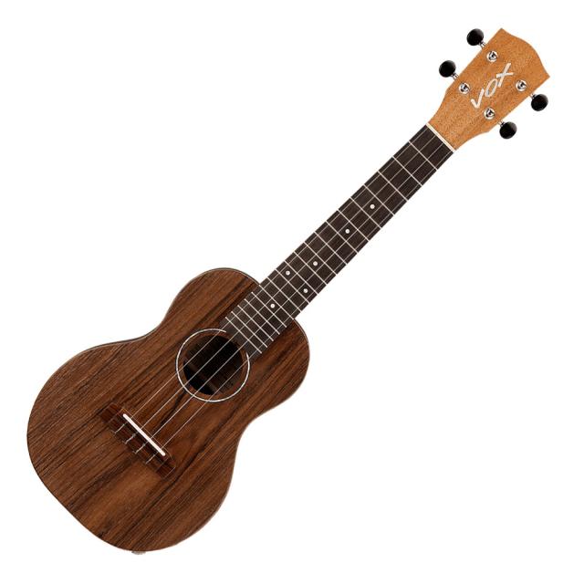 YAMAHA SLG200S TBS (タバコブラウンサンバースト) サイレントギター13