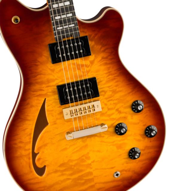 EVH イーブイエイチ SA-126 Special QM Tobacco Sunburst エレキ