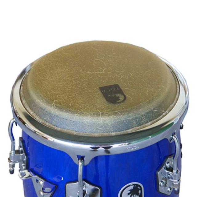 TOCA トカ 4611-BW Custom Deluxe 11インチ Blue Wood Quinto コンガ キント ブルー_1