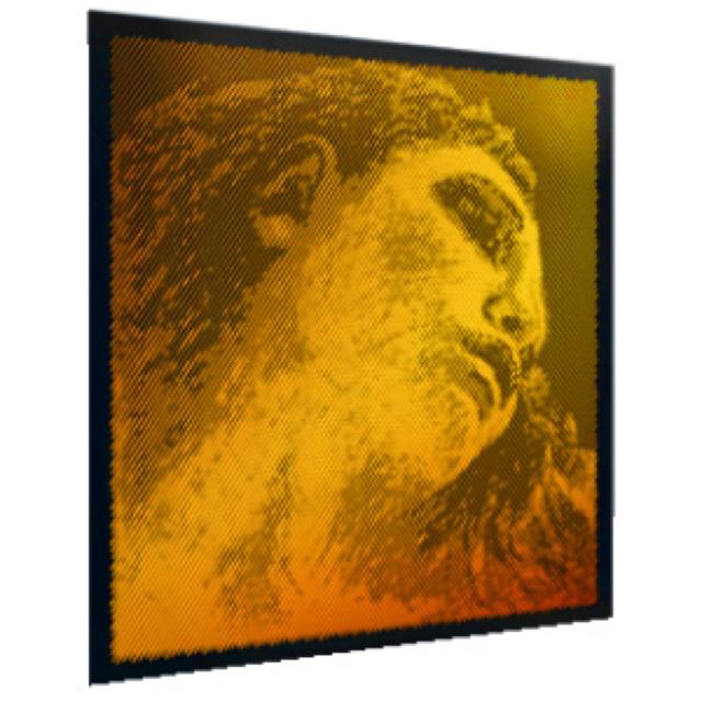 PIRASTRO ピラストロ バイオリン弦 Evah Pirazzi Gold 415321 エヴァ ピラッツィゴールド D線 シルバーの通販は 6,057円