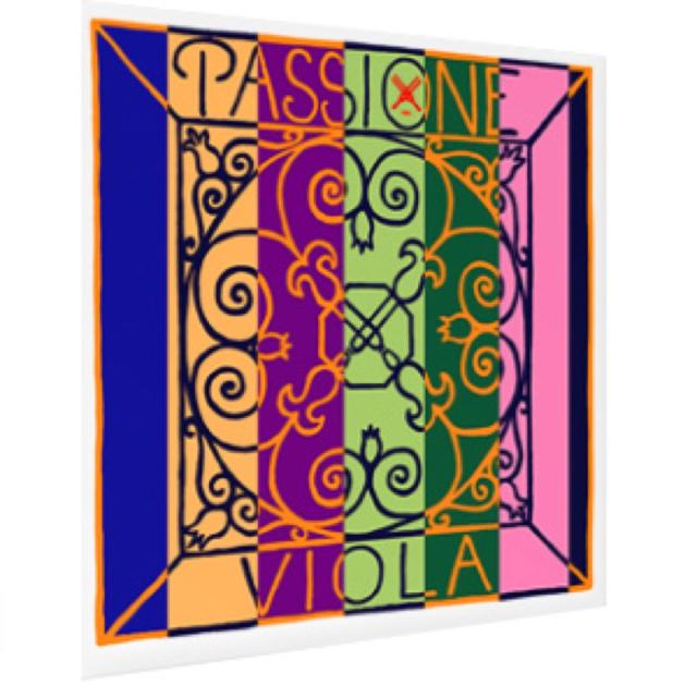 PASSIONE バイオリン弦 D線、G線セット