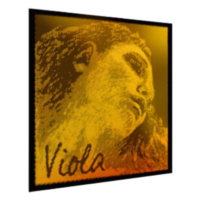 中古ヴィオラ弦 エヴァピラッツィゴールド CGD線 Amazon | EVAH