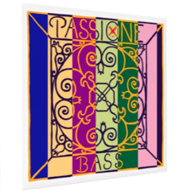 PIRASTRO ピラストロ コントラバス弦 Passione パッシオーネ 349320 A
