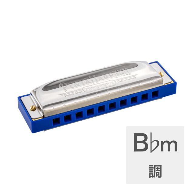 HOHNER ホーナー Penta Harp B♭マイナー 10穴ハーモニカ ブルースハープの通販は 6,120円