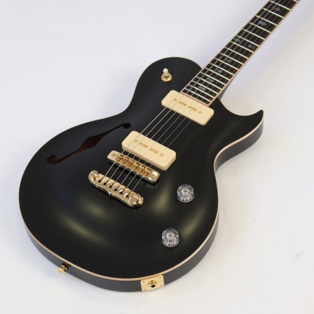 APII PE-5350GE/SH MTBK エレキギター_2
