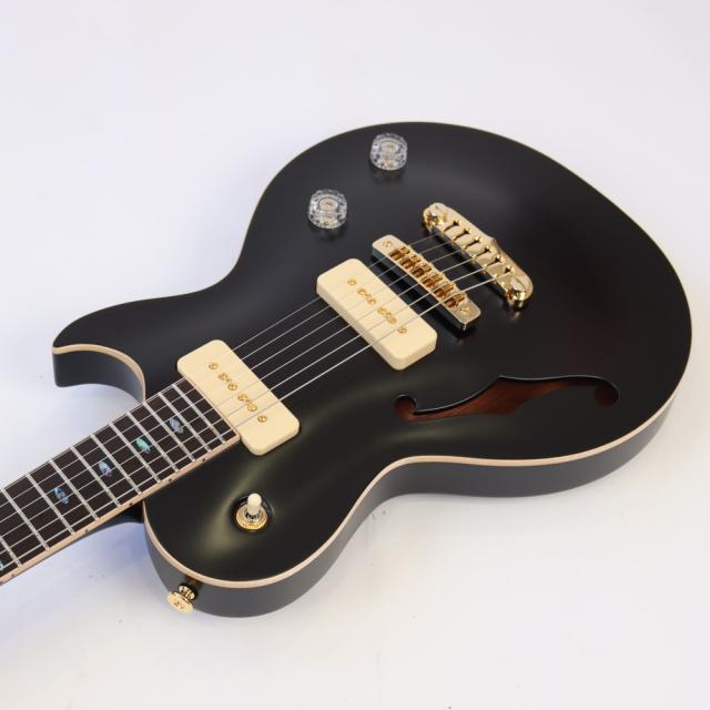 APII PE-5350GE/SH MTBK エレキギター_3