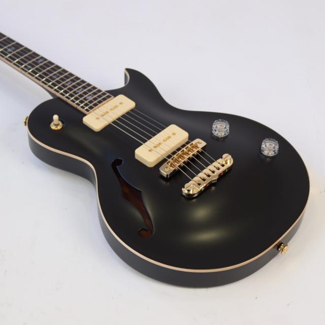 APII PE-5350GE/SH MTBK エレキギター_4